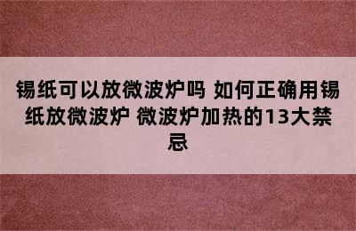 锡纸可以放微波炉吗 如何正确用锡纸放微波炉 微波炉加热的13大禁忌